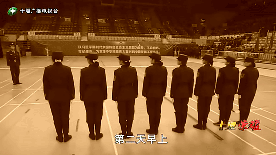 創(chuàng)業(yè)是一條無比艱辛的路，創(chuàng)新更是無限風光在險峰。在男性為主導的商海里，女性創(chuàng)業(yè)創(chuàng)新需要鼓足十萬分的勇氣和力量，是挑戰(zhàn)未來成功的小概率事件。而十堰姑娘楊麗便是這小概率事件中的一個傳奇，也是女性創(chuàng)業(yè)創(chuàng)新的榜樣。今天就來認識這位傳奇女性-興千田集團楊麗。
